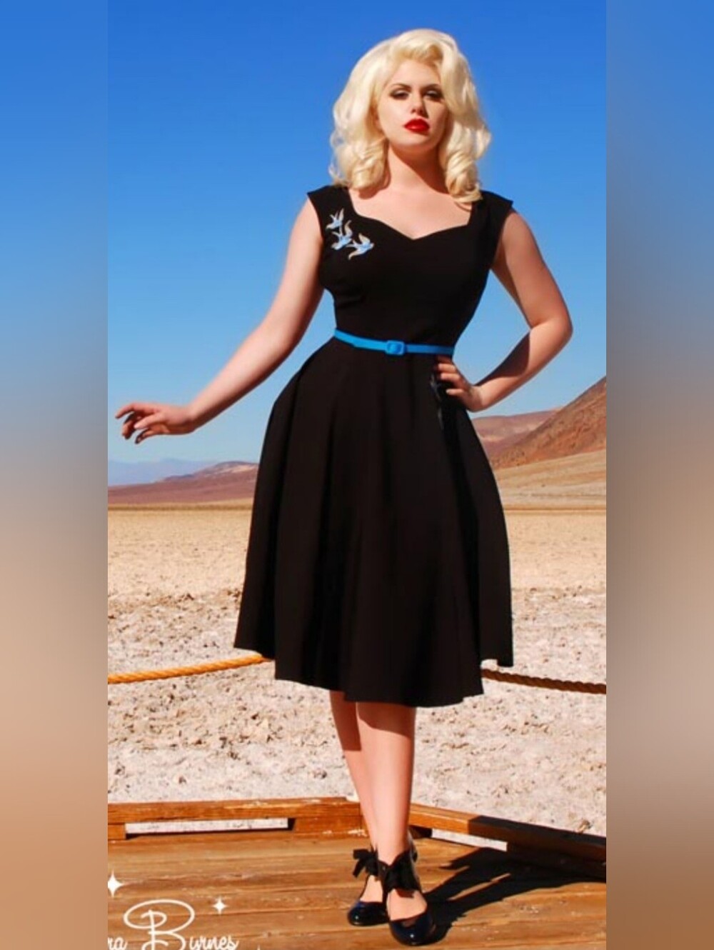 Pinup Couture Annalise Swing Dress With Embroidered Swallows, Size 2X